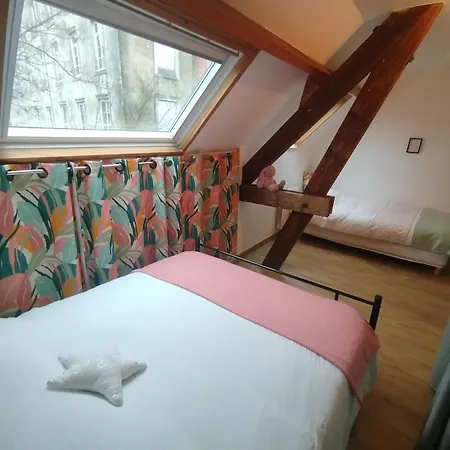 Apartment Cozy Duplex Hypercentre 75 M2 Free Parking 2 Bedrooms